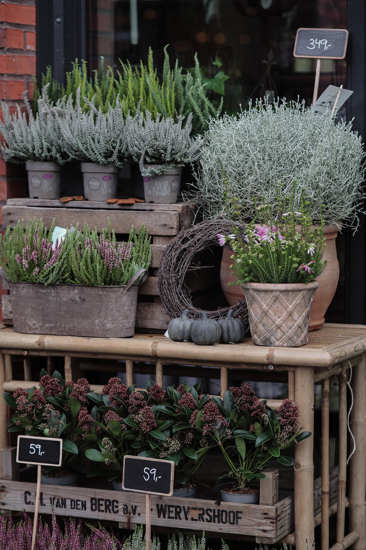 Frø & Planter