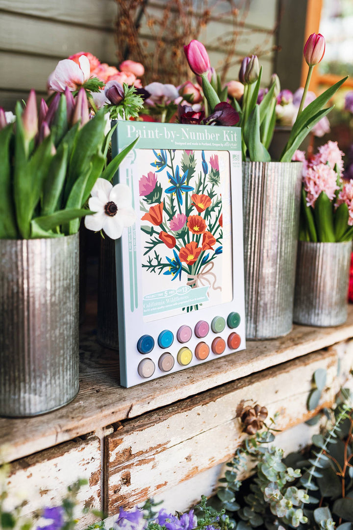 California Wildflowers – Paint by Numbers