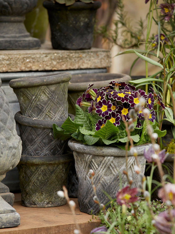 HARLEQUIN – Choko Patina Ø 31 cm