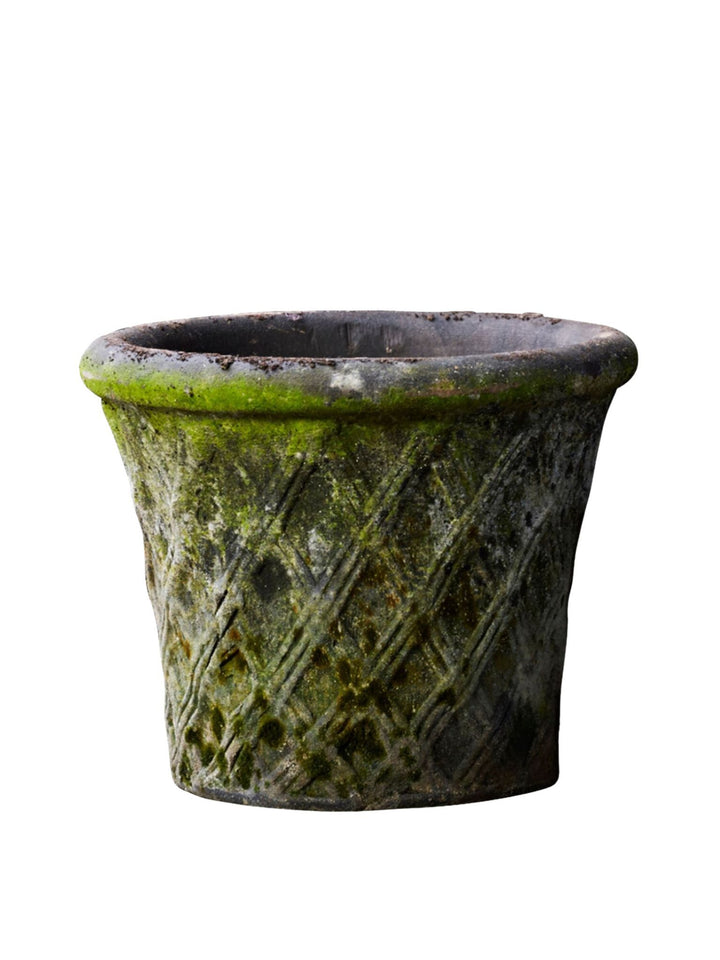 Harlequin – Patina ø 12