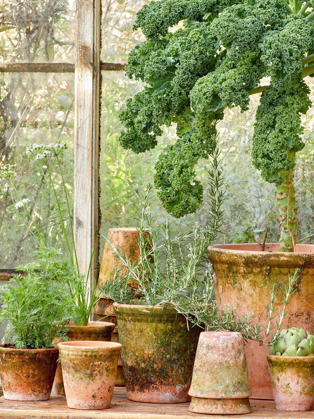 LACEPOT – Light Choko Patina Ø 12 cm