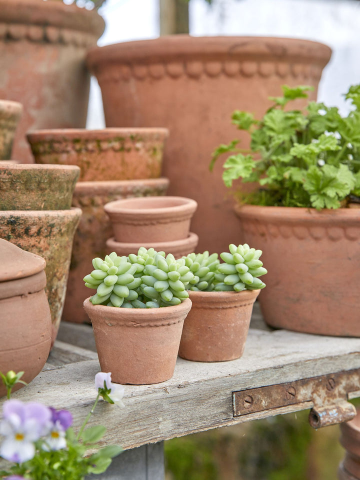 LACEPOT – Light Choko Patina Ø 12 cm