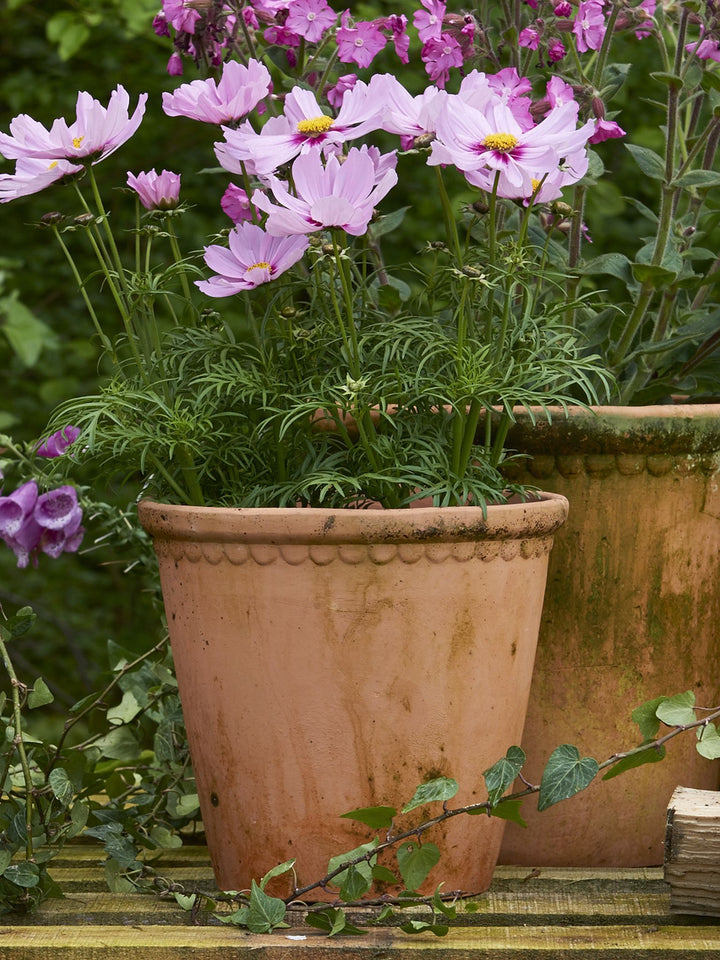 LACEPOT – Light Choko Patina Ø 12 cm