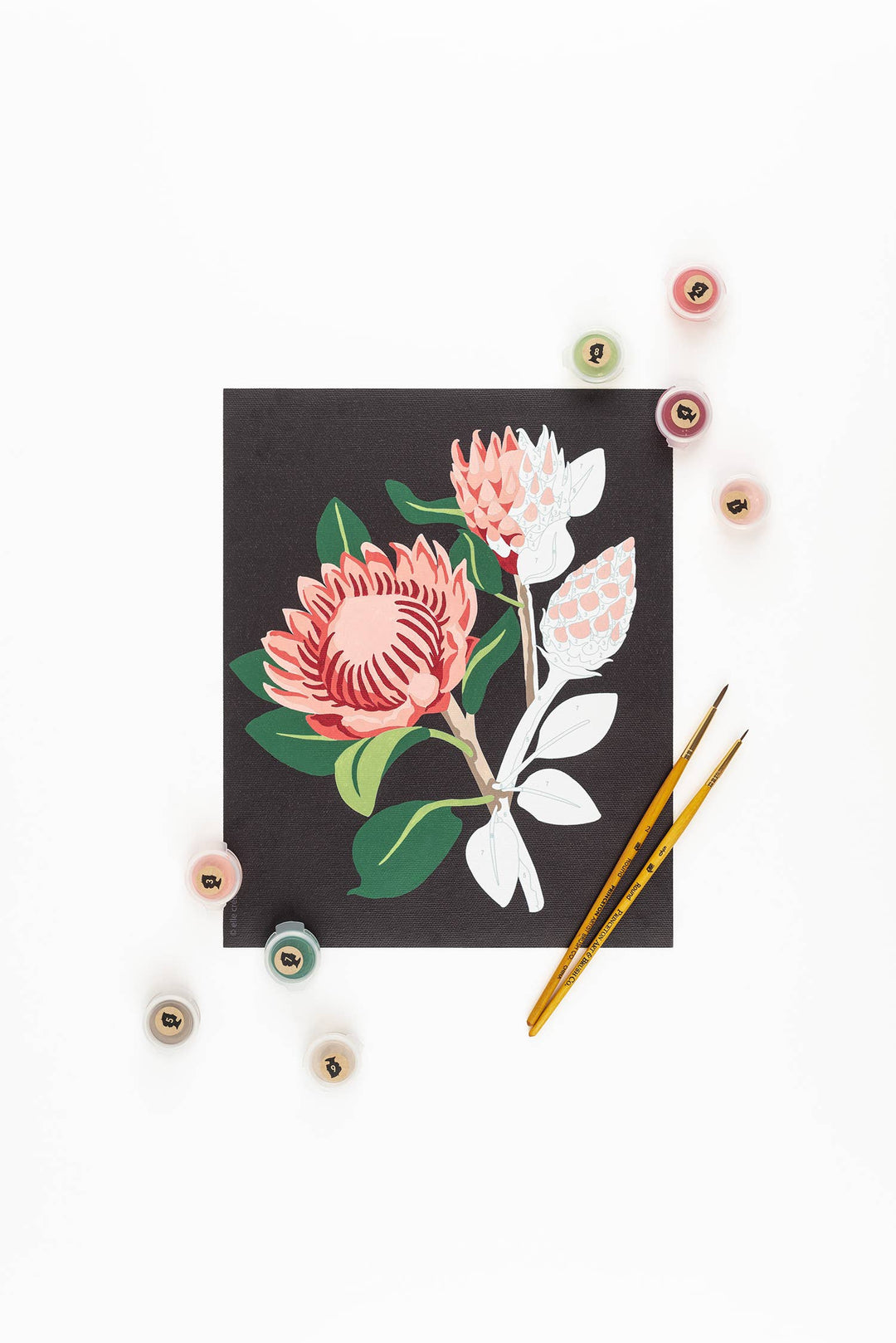 King Protea Blooms – Paint by Numbers