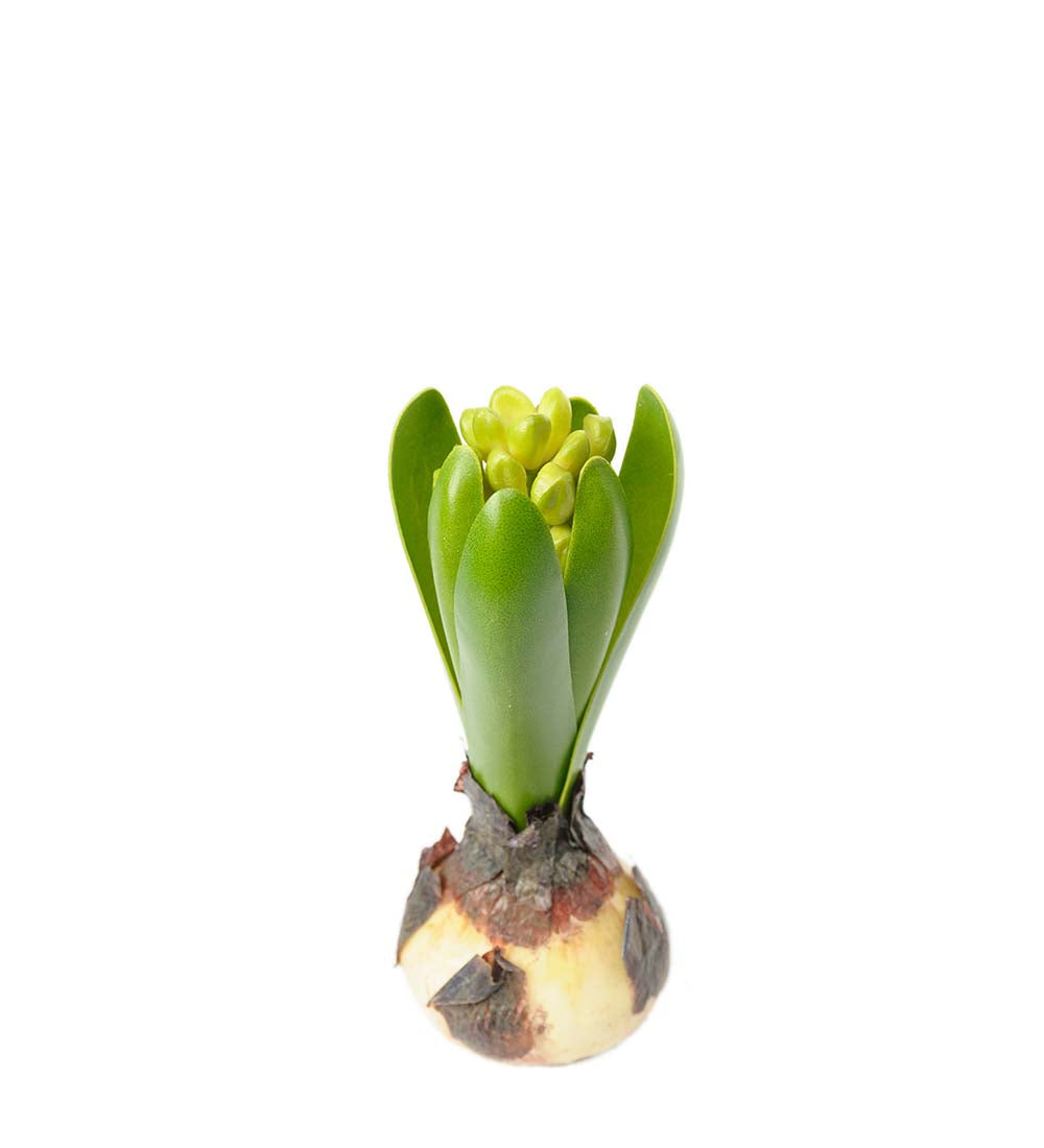 Hyasint 15 cm – kunstig