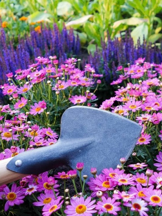 Hjerteformet Staudespade