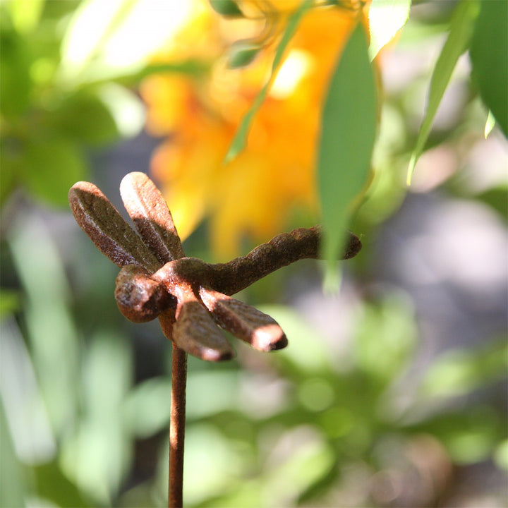 Dekorasjon Fugl & Øyenstikker – rustfarget jernfigurer