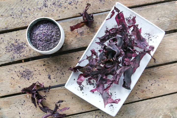 Økologisk Tørket Dulse – Lofoten