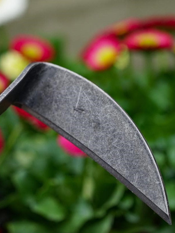 Japansk Lukekniv – Venstrehendt