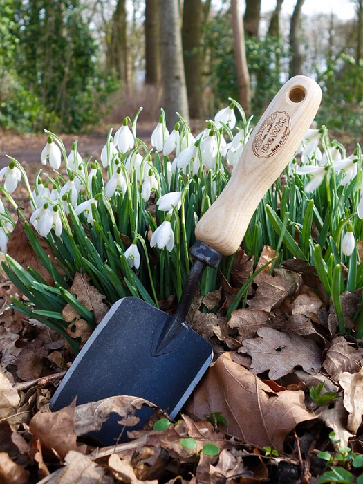 Håndspade X-treme – Favoritten