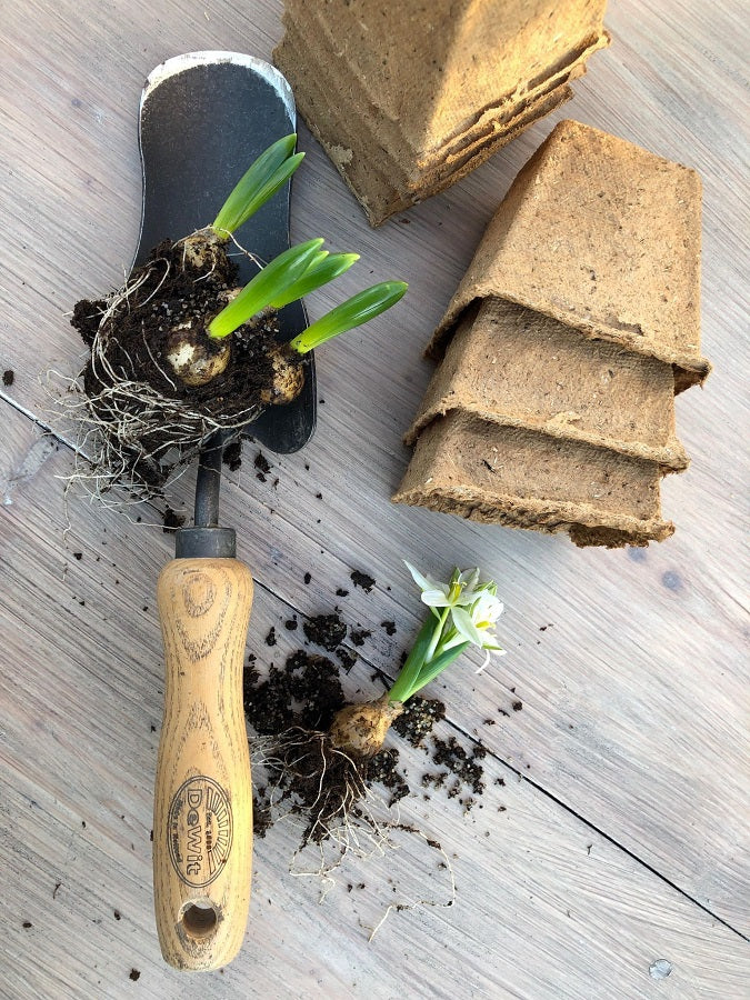 Viktoriansk Håndspade