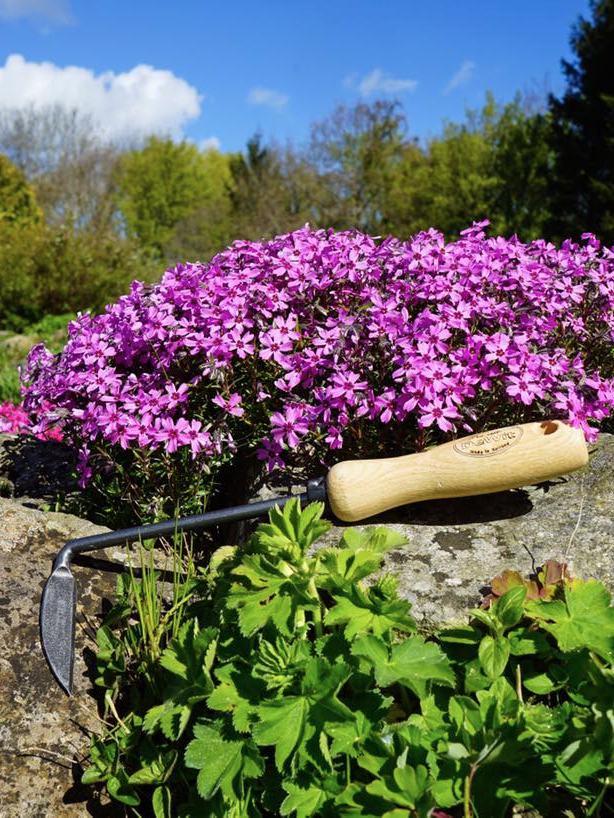 Lukekniv Høyrehendt – Cape Cod Weeder