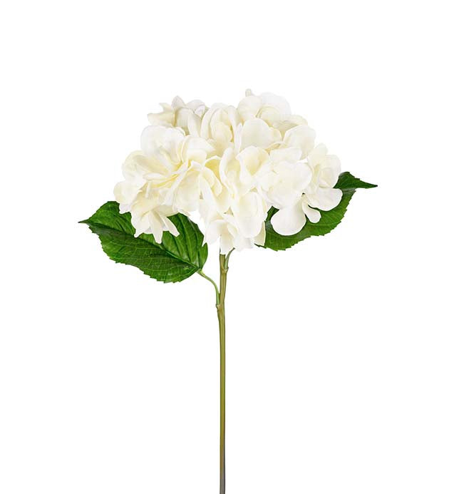 Hortensia 55 cm