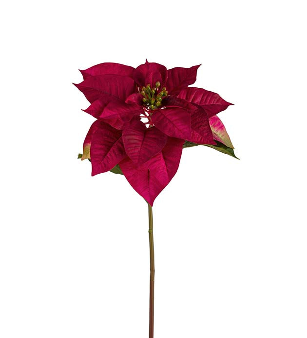 Julestjerne 70 cm