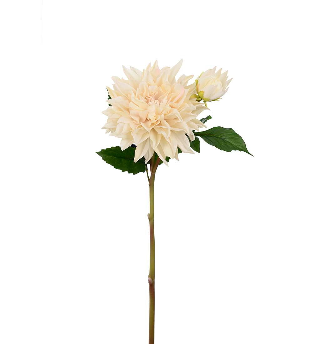 Dahlia 70 cm - Hvit