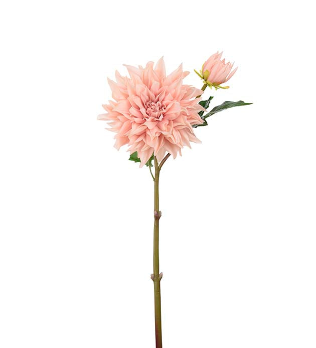 Dahlia 70 cm