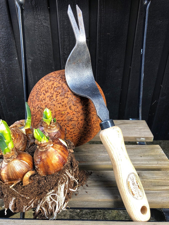 Ugressjern (Harepus)