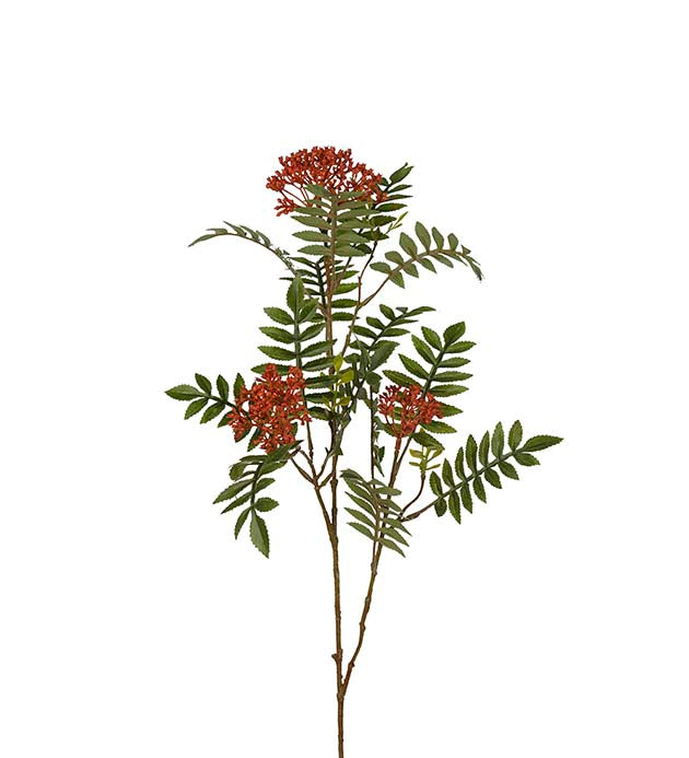 Rognebærkvist 80 cm – rød