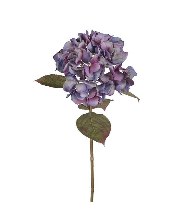 Hortensia 65 cm – Blå