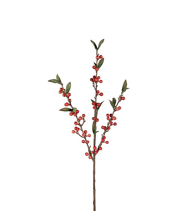 Bærkvist 60 cm