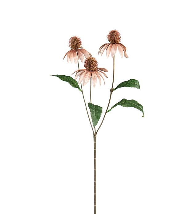 Solhatt 48 cm
