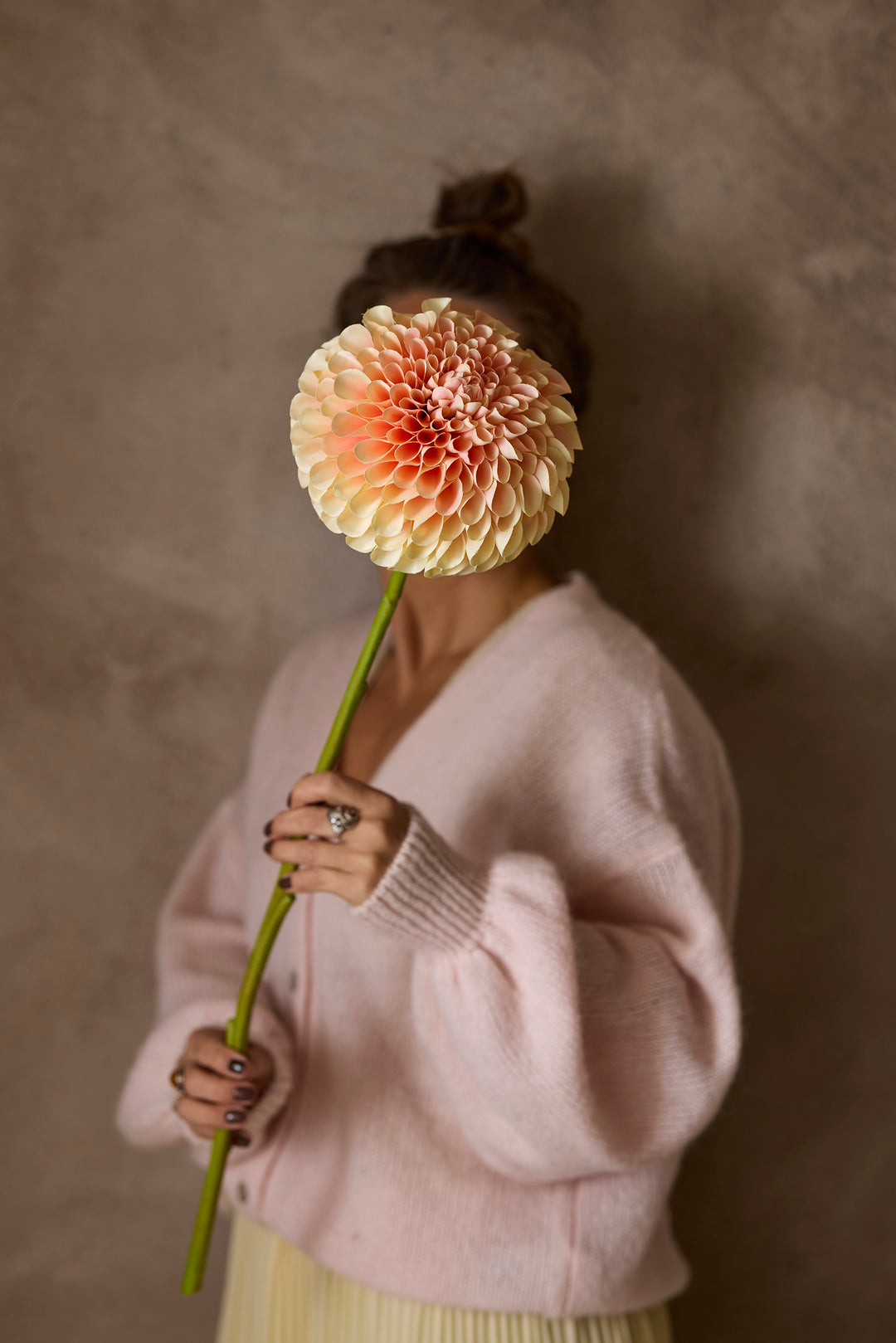 Dahlia – Mørk Fersken