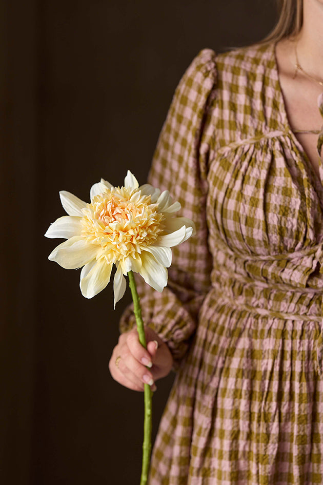 Dahlia – Cream