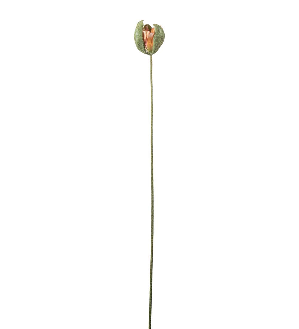 Valmueknopp