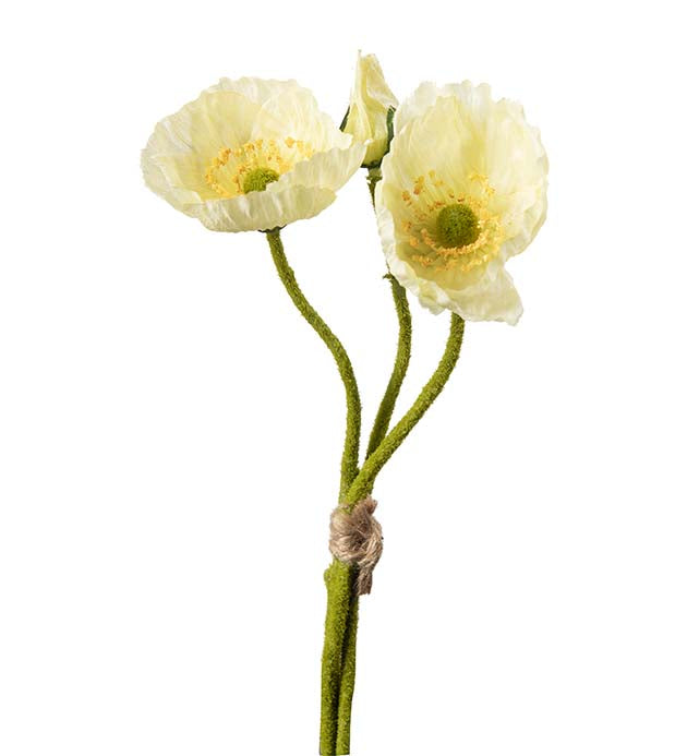Valmue bunt – Cream