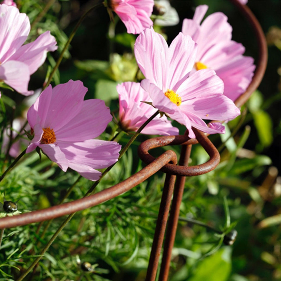 Plante­støtte – rustfarget jern