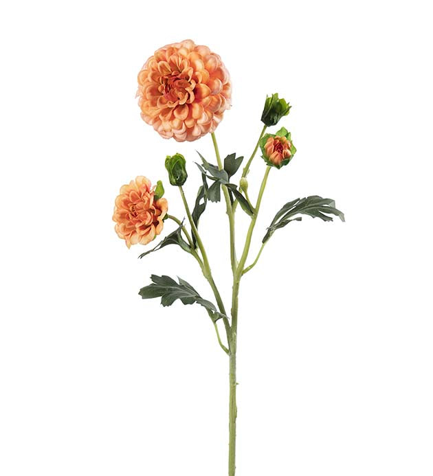 Krysantemum 52 cm