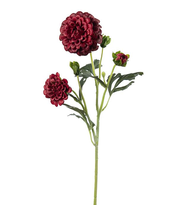 Krysantemum 52 cm – burgunder