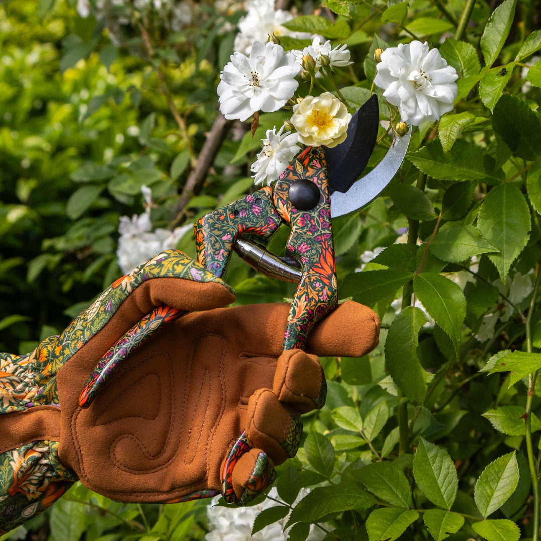 Beskjæringssaks – William Morris Snakeshead
