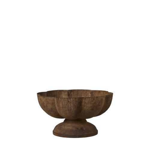 Bloom pokal – rust