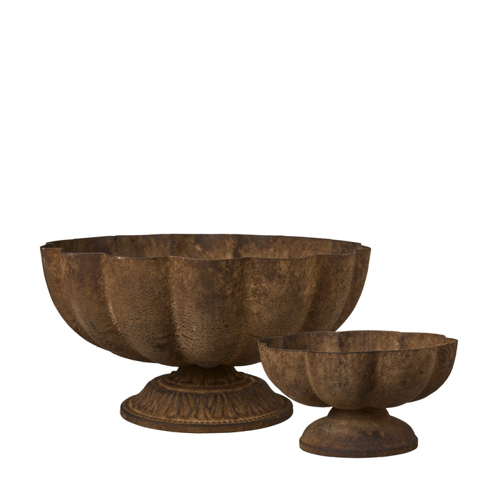 Bloom pokal – rust
