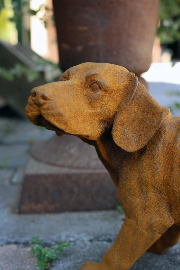 Hund i jern – rustfinish 35x24 cm