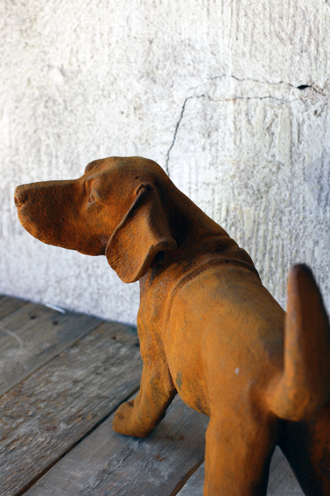 Hund i jern – rustfinish 35x24 cm