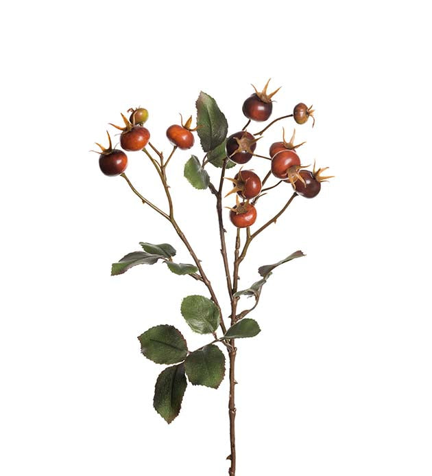 Nypekvist 65 cm – oransje