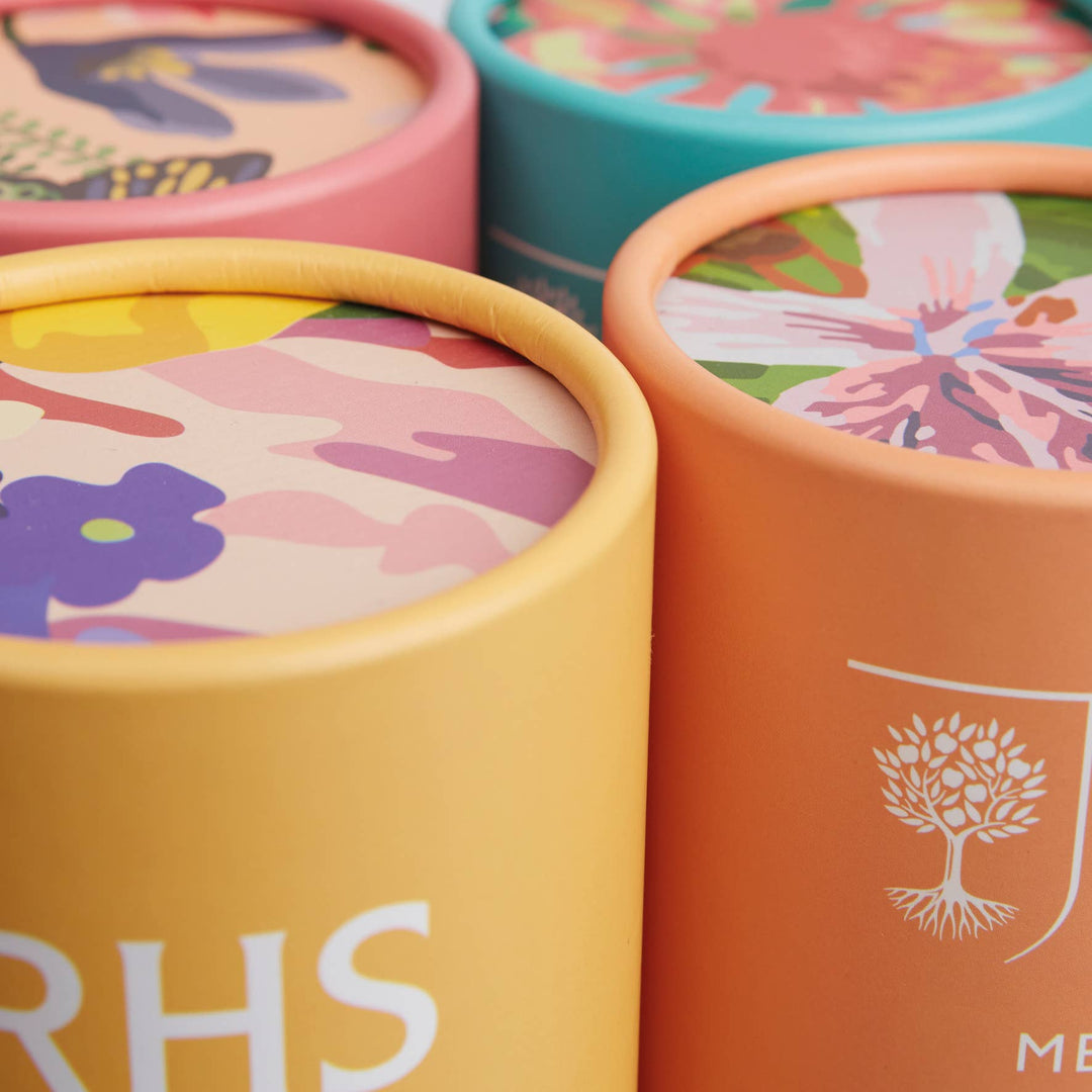 Paint by Numbers veggoppheng – Floral design fra RHS