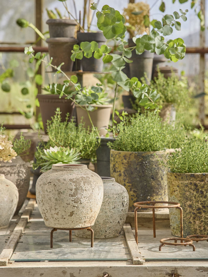 Planteholder i rustikt jern – Ø 10 cm