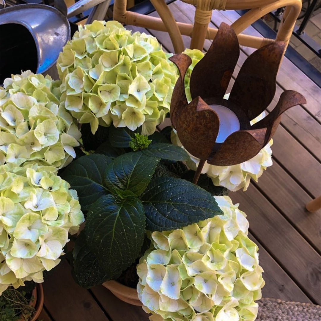 Blomst - Rustfarget lykt i metall