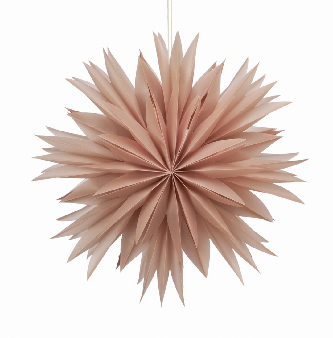 Palisia papirstjerne – D. Rose, 40 × 40 cm