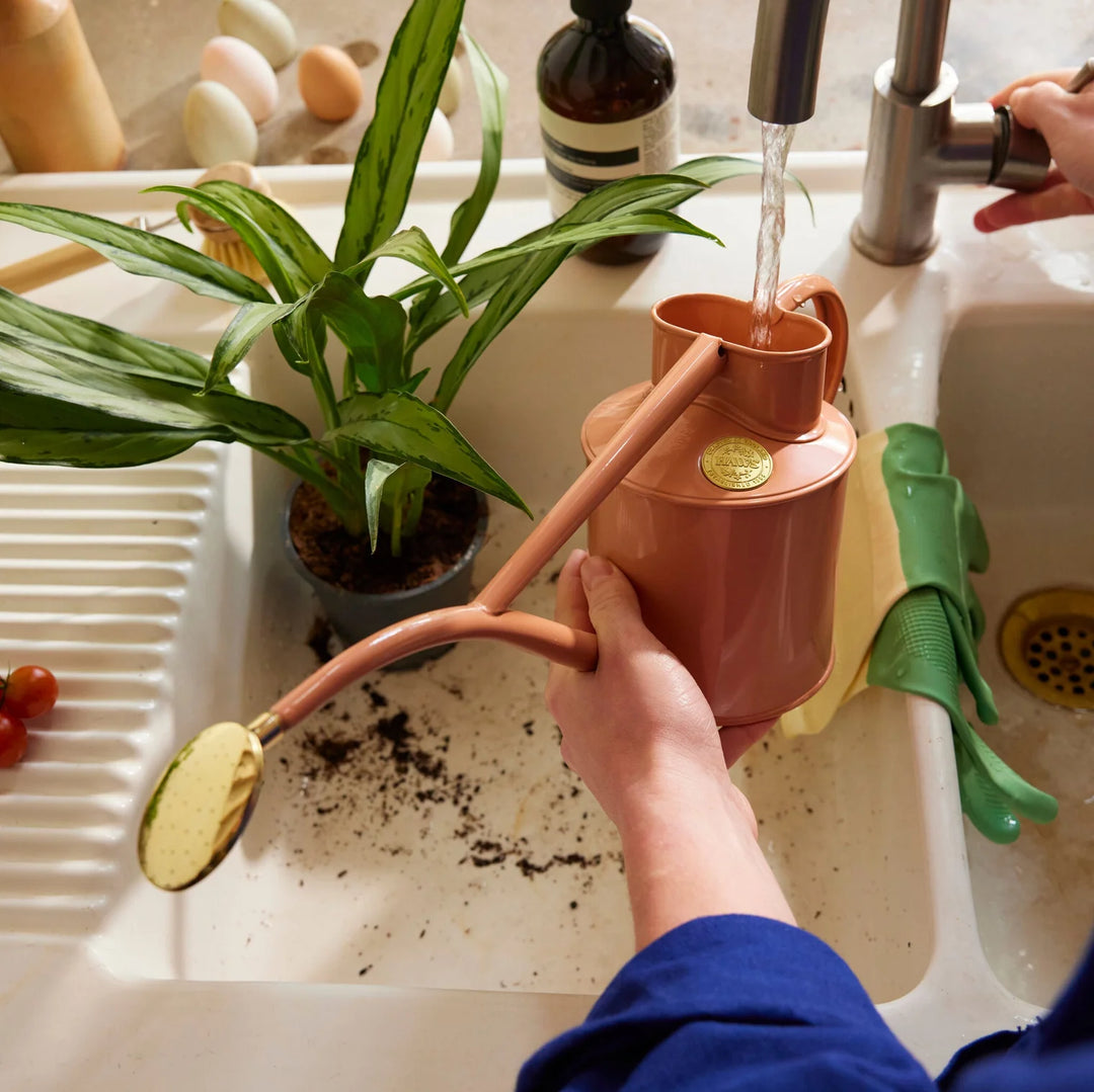 The Rowley Ripple - Rosa