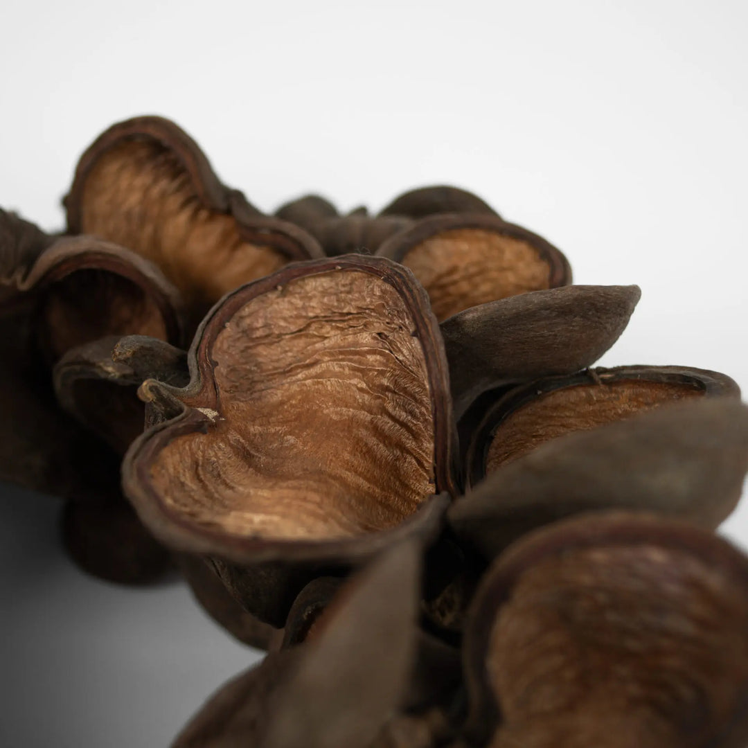 Krans av tørket mandelnøtt – 38 cm