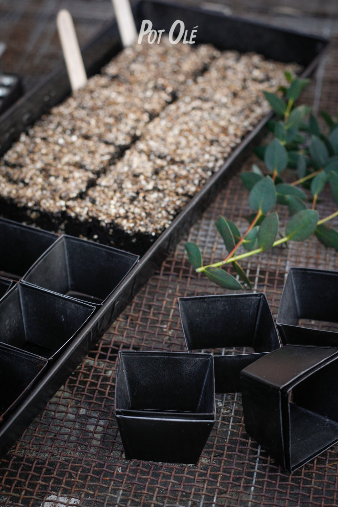 W.E.T. Seed Pot 30 Black