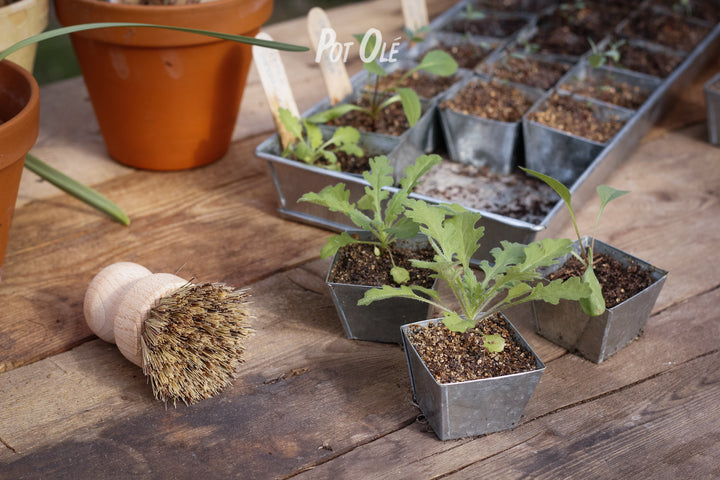 W.E.T. Seed Pot 30 Black