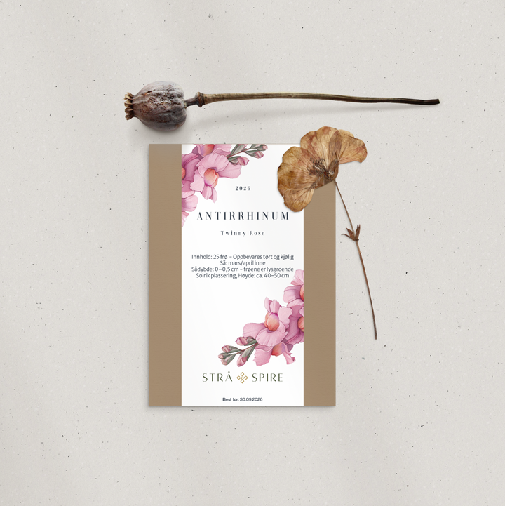 Løvemunn ‘Twinny Rose’