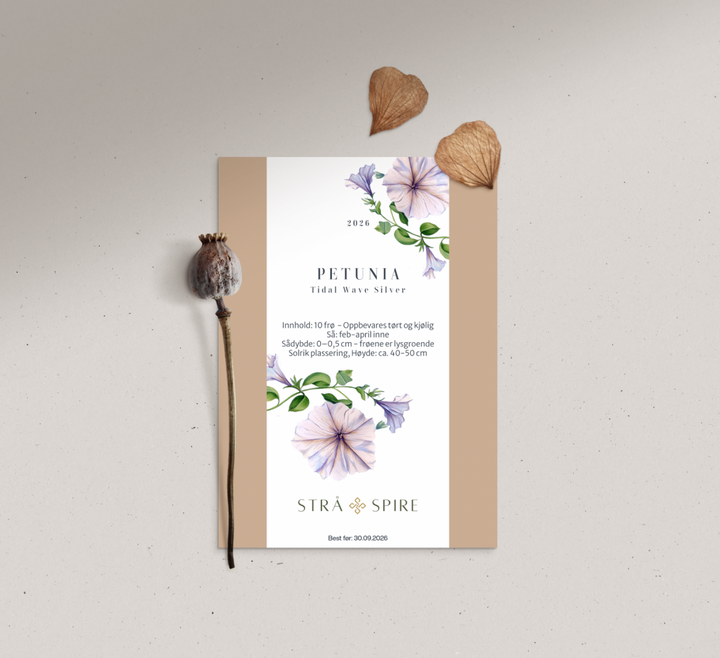 Petunia ‘Tidal Wave Silver’