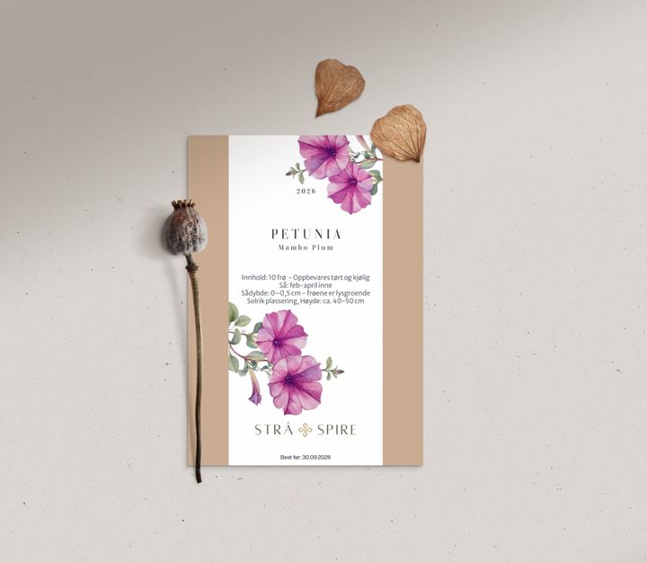 Petunia ‘Mambo Plum’