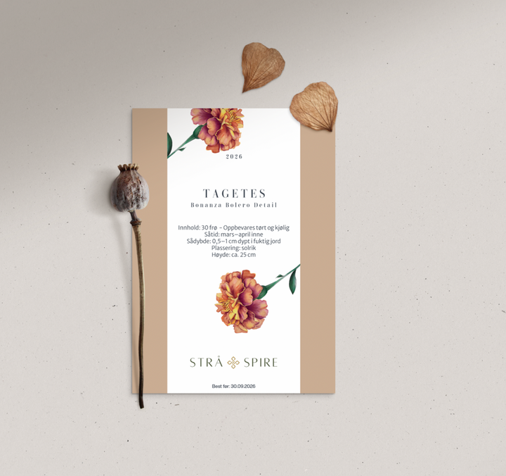 Tagetes ‘Bonanza Bolero’